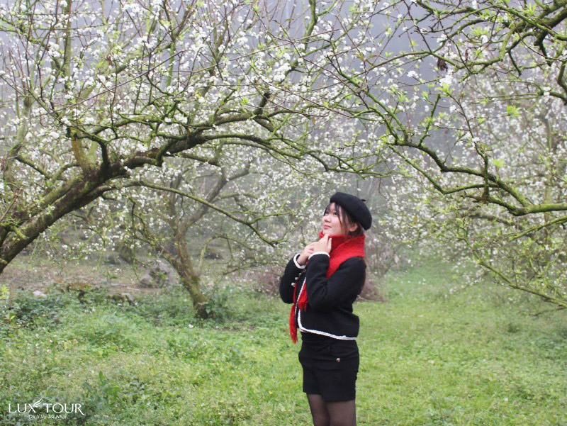 cao-bang-thang-3-2.jpg (240 KB)