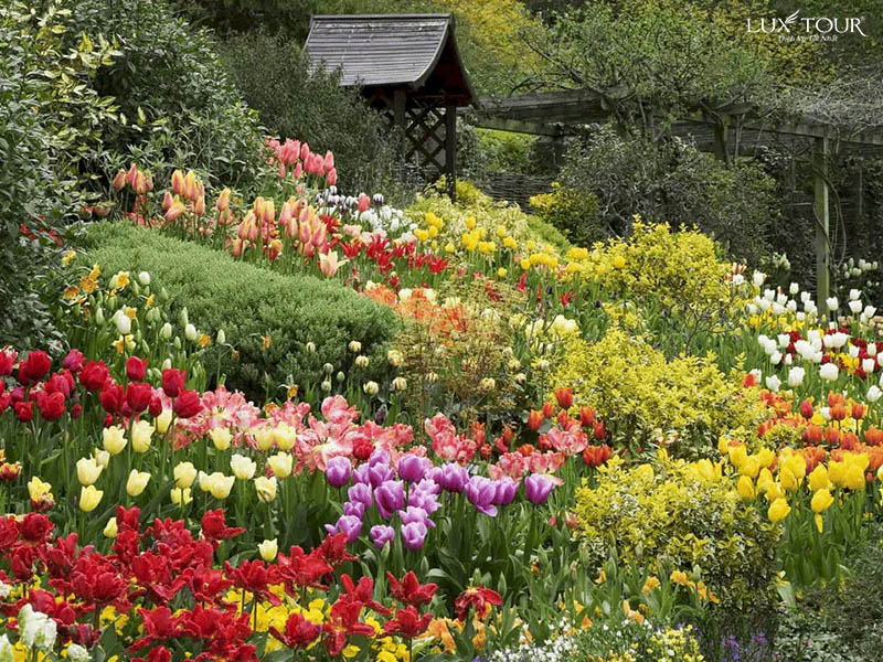 du-lich-da-lat-thang-1-5.jpg (218 KB)