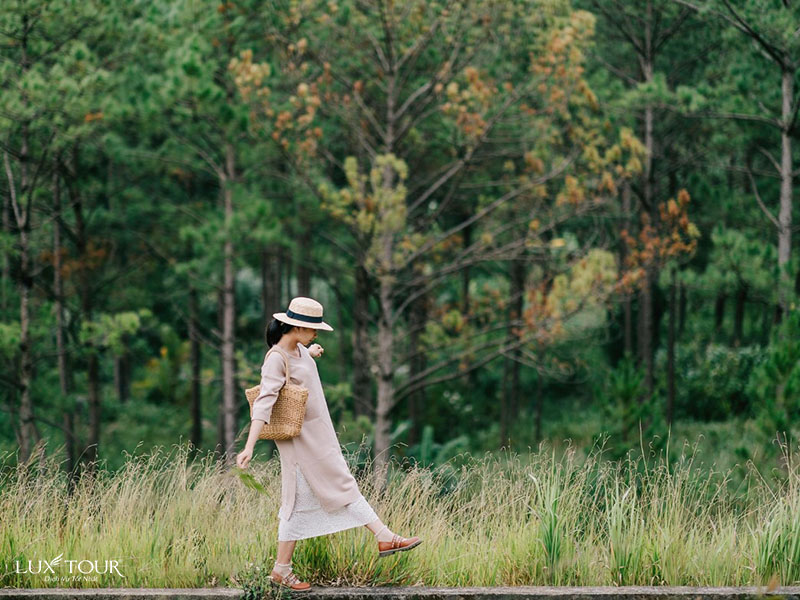 du-lich-da-lat-thang-1.jpg (159 KB)