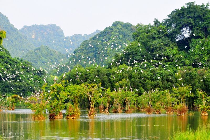 thung-nham-ninh-binh-thang-10.jpg (117 KB)