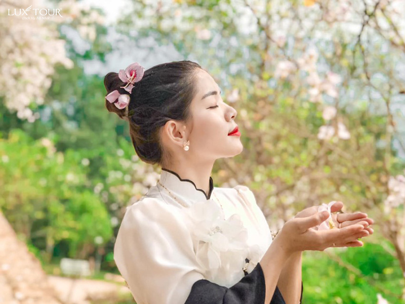 hoa-ban-dien-bien-1.jpg (156 KB)