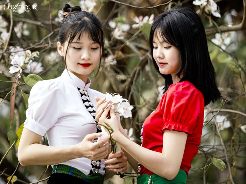 hoa-ban-dien-bien-3.jpg (194 KB)