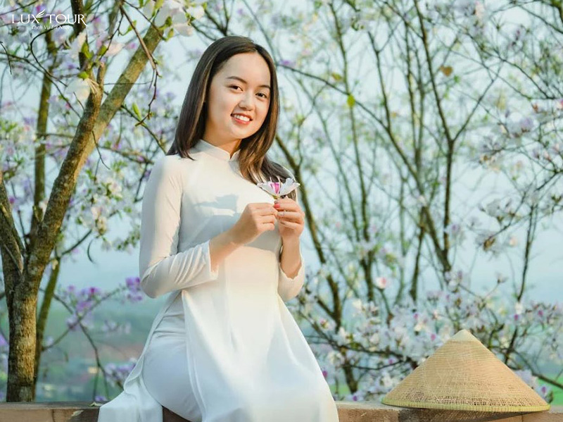 hoa-ban-dien-bien-5.jpg (210 KB)