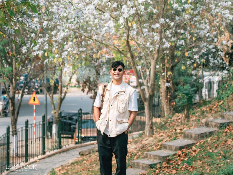 hoa-ban-dien-bien-9.jpg (261 KB)