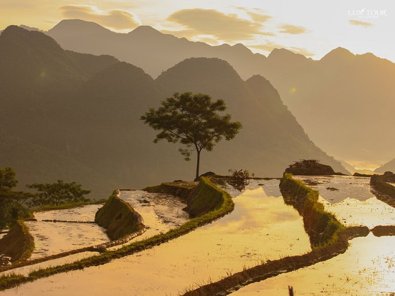 pu-luong-thang-1-3.jpg (67 KB)