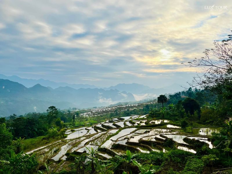 pu-luong-thang-1-ban-kho-muong.jpg (97 KB)