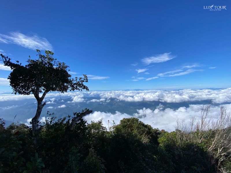 pu-luong-thang-1-dinh-pu-luong.jpg (77 KB)