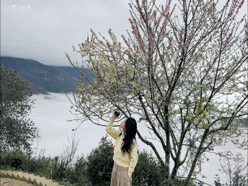 ta-xua-thang-2-hoa-anh-dao-hoa-man.jpg (161 KB)