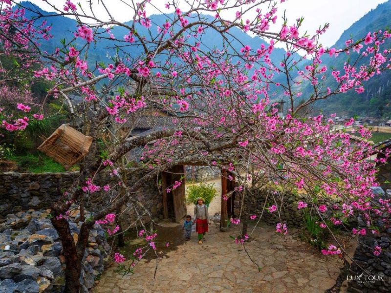 ha-giang-tet-nen-di-du-lich-o-dau-mien-bac.jpg (158 KB)