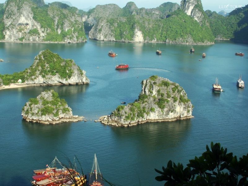 vinh-ha-long-tet-nen-di-du-lich-o-dau-mien-bac.jpg (85 KB)