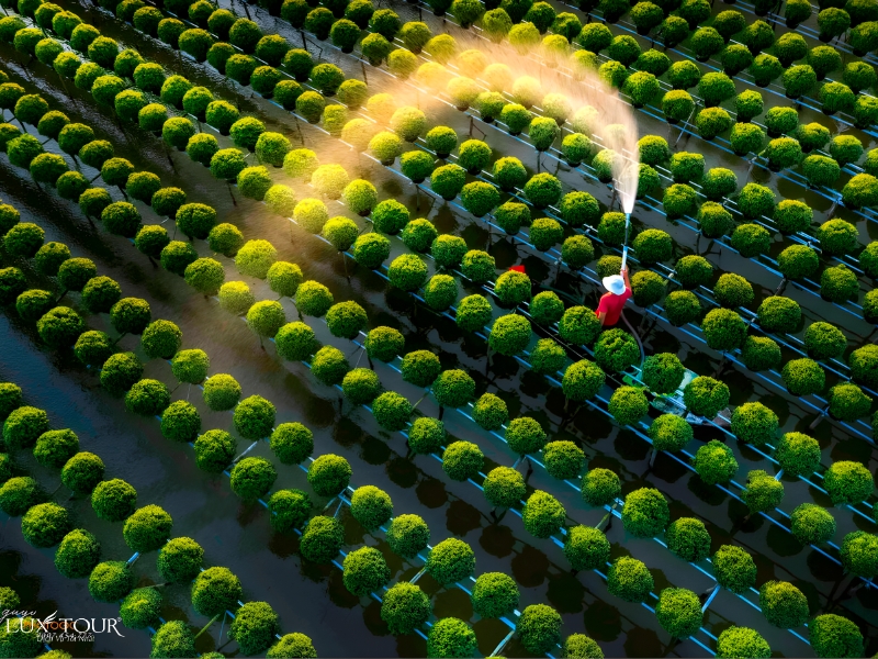 tet-nen-di-du-lich-o-dau-mien-nam-4.jpg (571 KB)