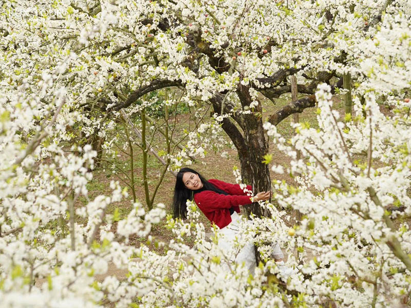 thang-2-nen-di-du-lich-o-dau-1.jpg (191 KB)