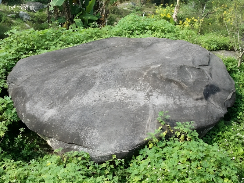 bai-da-co-xin-man-1.jpg (507 KB)