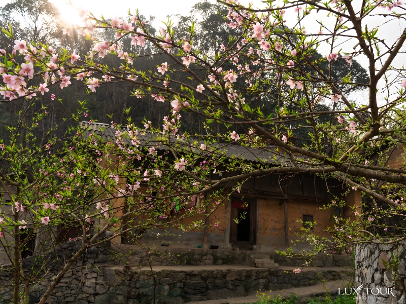 bai-da-co-xin-man-10.jpg (624 KB)