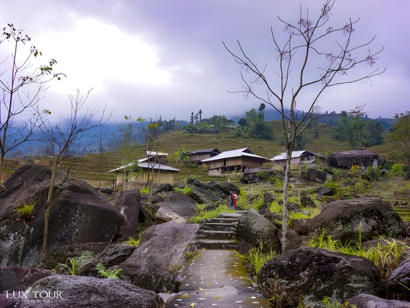 bai-da-co-xin-man-3.jpg (427 KB)