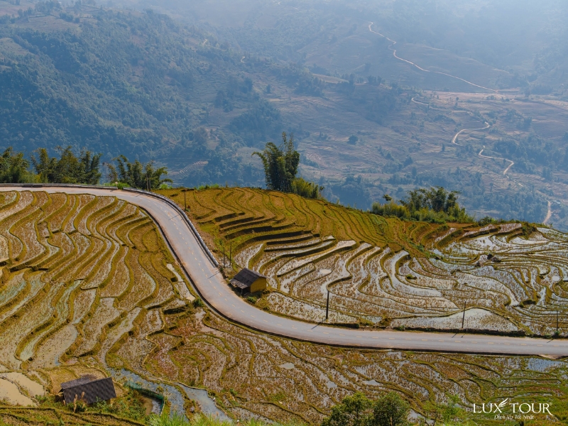 bai-da-co-xin-man-5.jpg (509 KB)