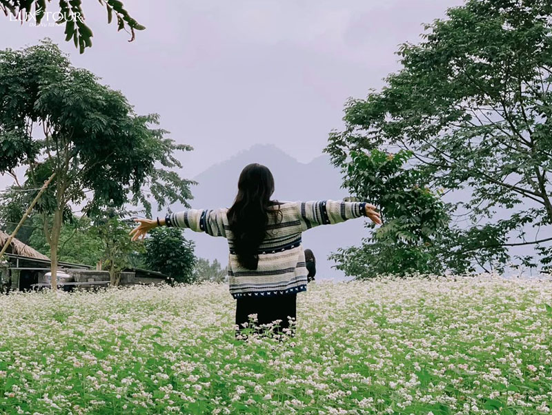 ban-do-du-lich-ha-giang-chi-tiet-6.jpg (213 KB)