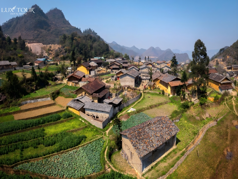 ban-lo-lo-chai-3.jpg (484 KB)