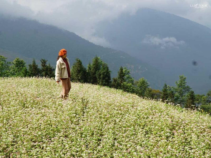 ban-sung-la-6.jpg (115 KB)