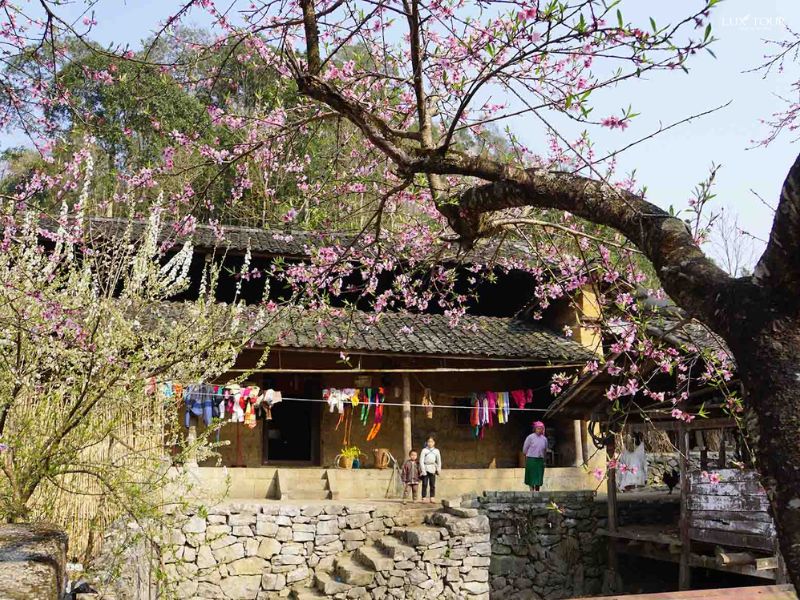 ban-sung-la-mua-hoa.jpg (178 KB)