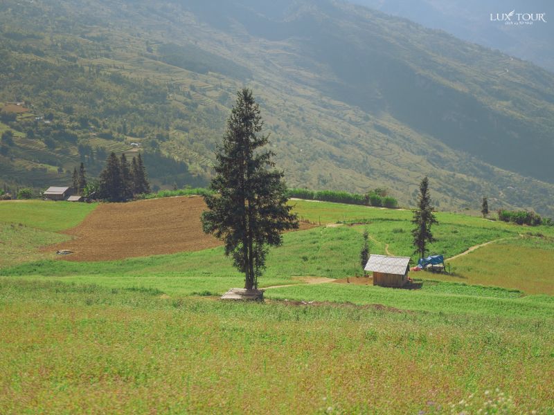 cao-nguyen-suoi-thau-4.jpg (98 KB)