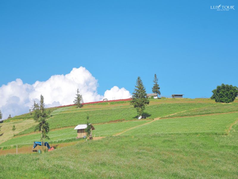 cao-nguyen-suoi-thau-thuy-sy-thu-nho.jpg (66 KB)