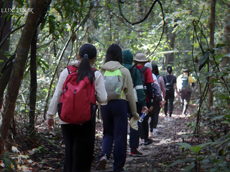 chieu-lau-thi-11.jpg (456 KB)