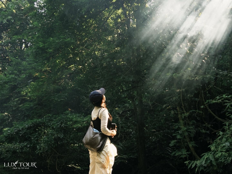 chieu-lau-thi-12.jpg (382 KB)