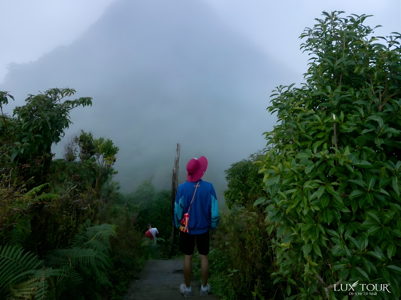 chieu-lau-thi-3.jpg (359 KB)