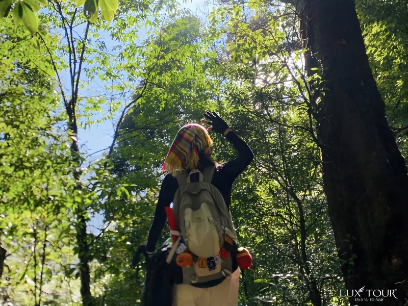 chieu-lau-thi-9.jpg (535 KB)