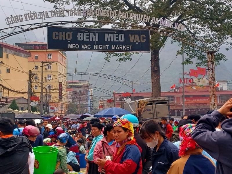 cho-dem-meo-vac-2.jpg (132 KB)