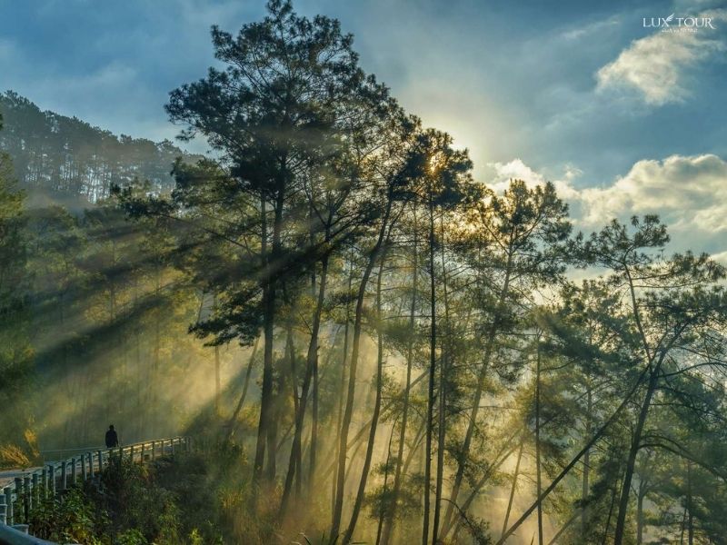 cong-troi-quan-ba-ha-giang-rung-thong-yen-minh.jpg (112 KB)