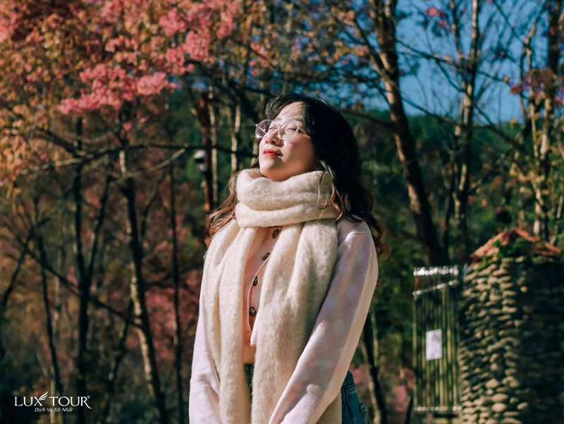 di-ha-giang-mac-gi-dep-7.jpg (160 KB)