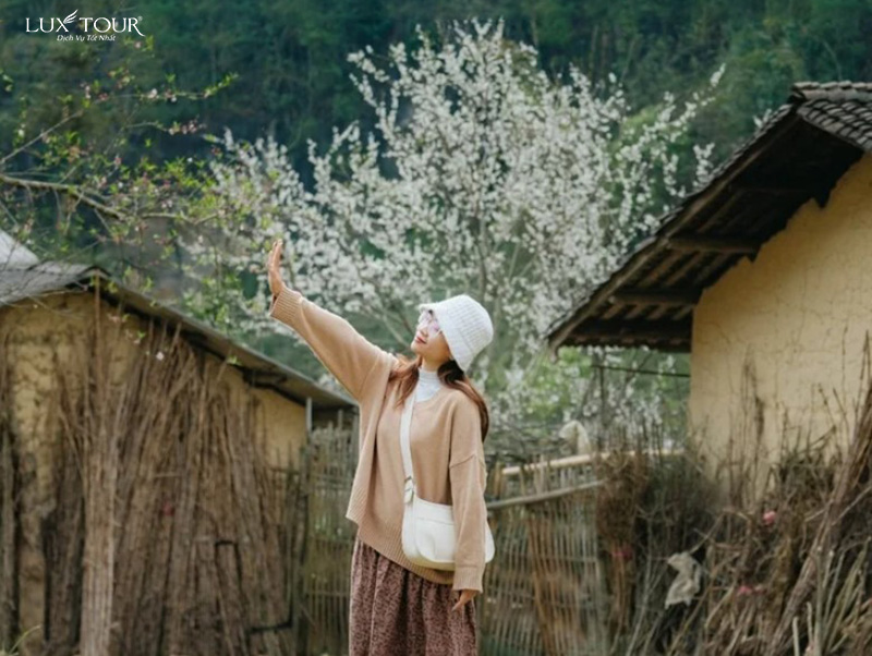 di-ha-giang-mac-gi-dep.jpg (184 KB)