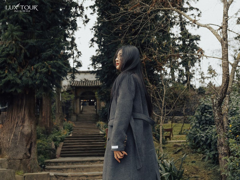 dinh-thu-vua-meo-1.jpg (154 KB)