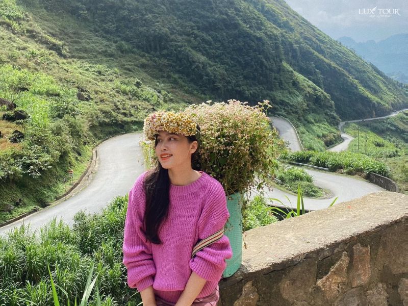 doc-chin-khoanh-ha-giang-mua-hoa-tam-giac-mach.jpg (139 KB)