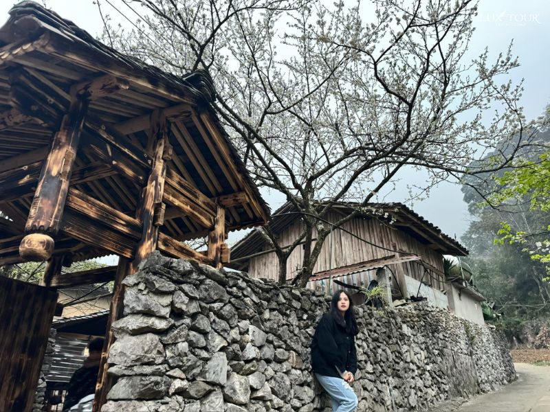 du-lich-cao-nguyen-da-dong-van-mua-hoa-dao-hoa-man.jpg (166 KB)