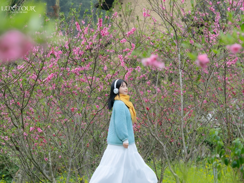 du-lich-ha-giang-3-ngay-2-dem-2.jpg (594 KB)