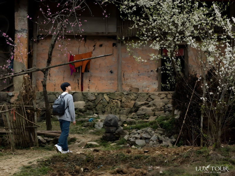 du-lich-ha-giang-3-ngay-2-dem-5.jpg (508 KB)