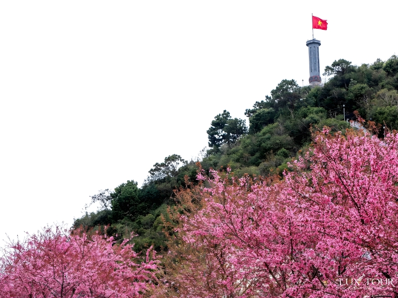 du-lich-ha-giang-3-ngay-2-dem-6.jpg (386 KB)