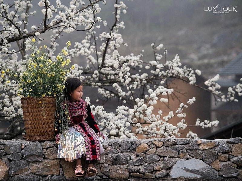 du-lich-ha-giang-mua-nao-dep-nhat-1.jpg (182 KB)