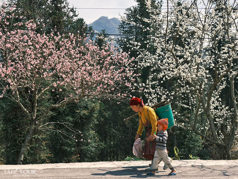 du-lich-ha-giang-mua-xuan-2.jpg (199 KB)