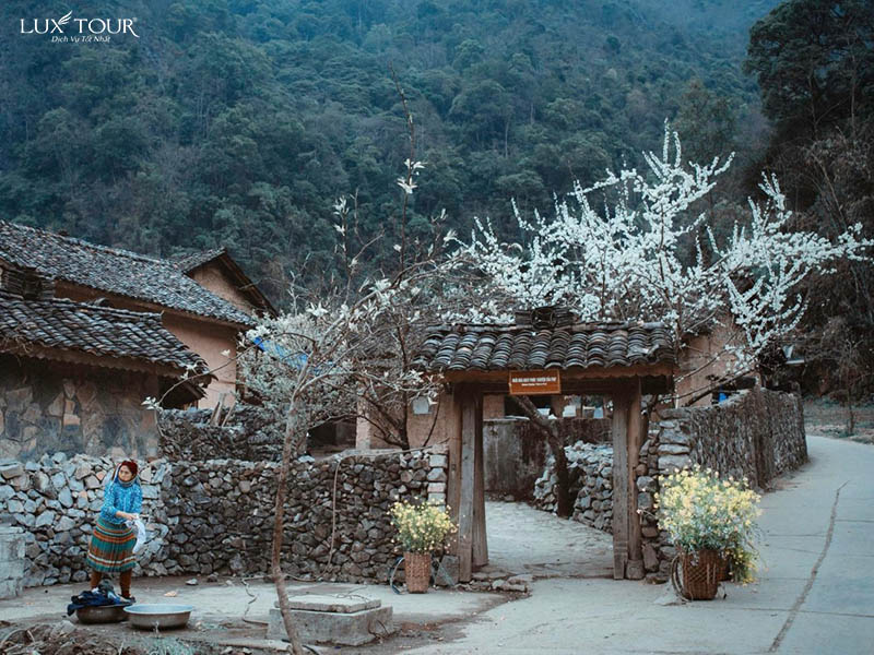 du-lich-ha-giang-mua-xuan-3.jpg (155 KB)