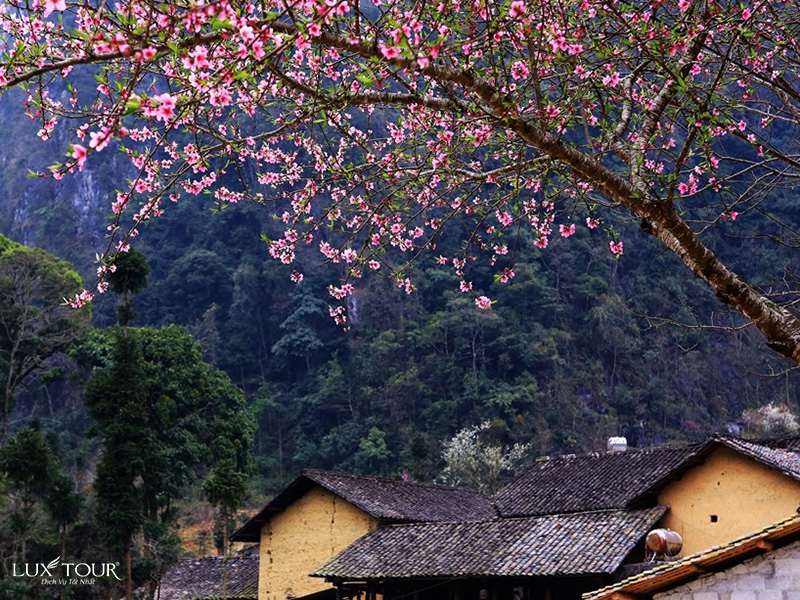 du-lich-ha-giang-thang-3-2.jpg (340 KB)