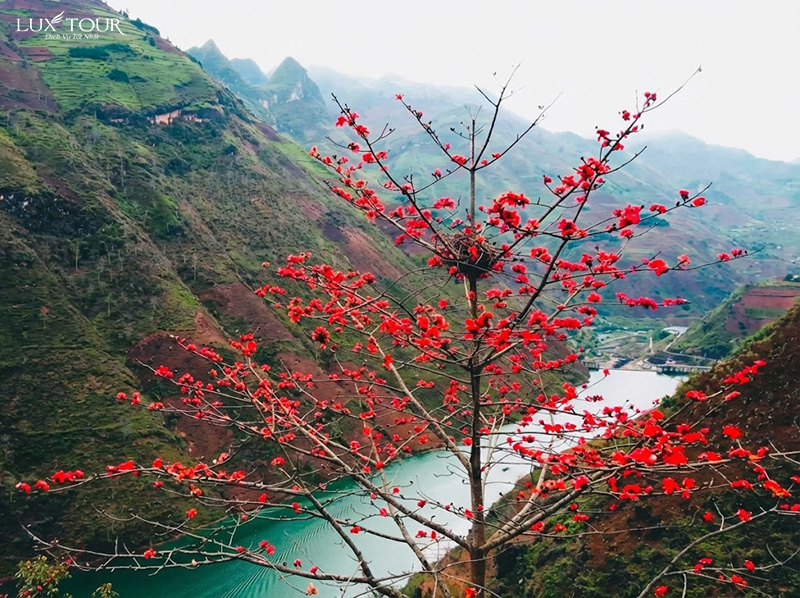 du-lich-ha-giang-thang-3-5.jpg (287 KB)