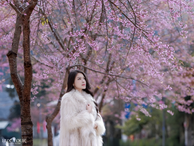 du-lich-ha-giang-thang-4-1.jpg (432 KB)