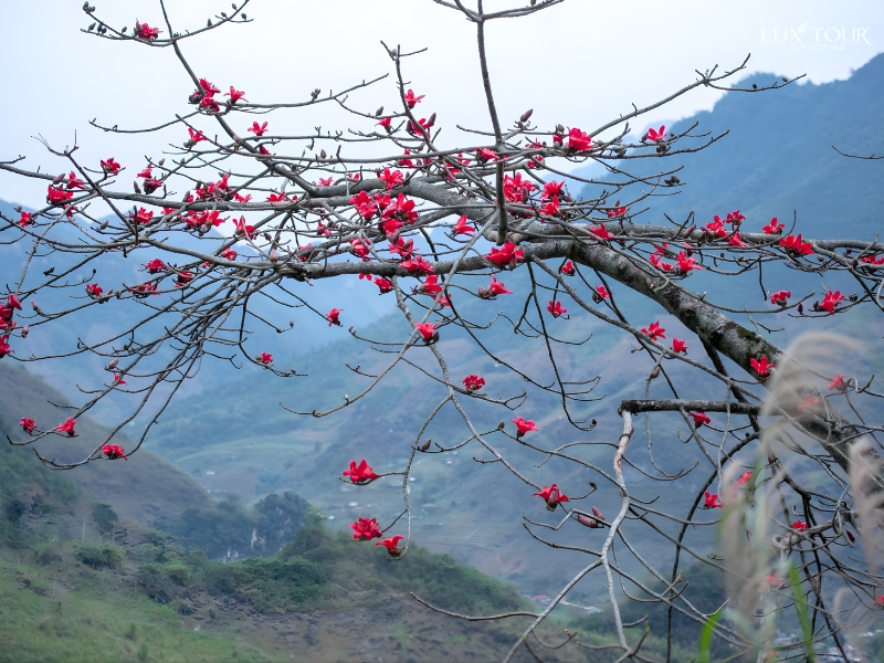 du-lich-ha-giang-thang-4-2.jpg (446 KB)