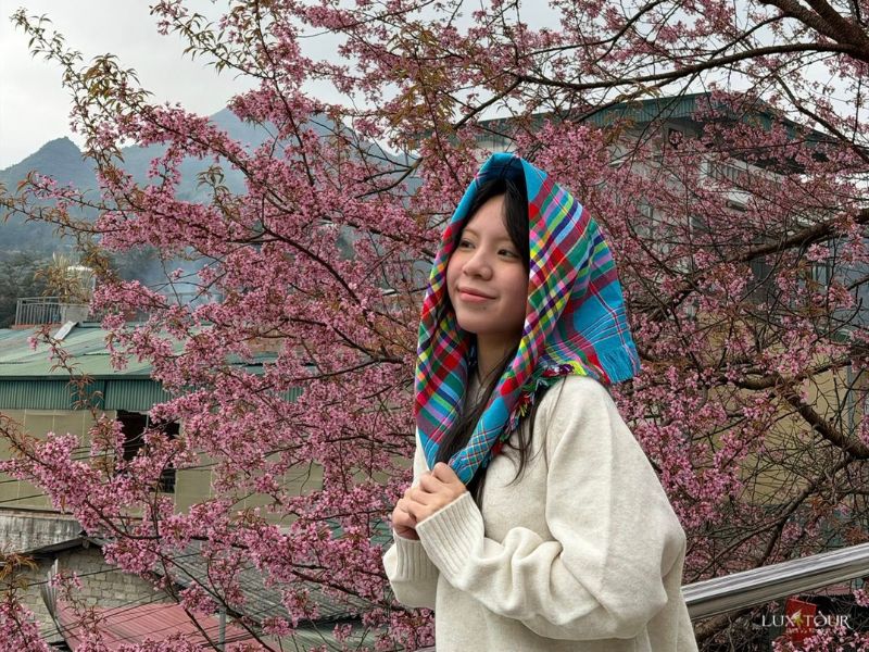 ha-giang-mua-hoa-dao-2.jpg (176 KB)