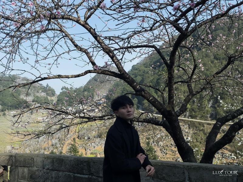 ha-giang-mua-hoa-dao-ban-lao-xa.jpg (168 KB)