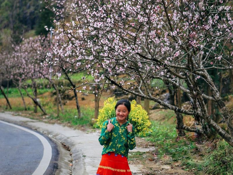 ha-giang-mua-hoa-dao-pho-bang.jpg (148 KB)